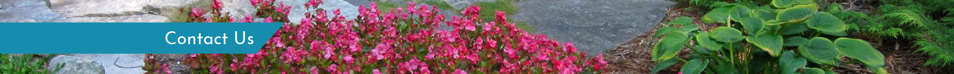 Contact Us